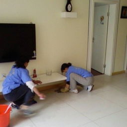 家政服務 現代生活的品質助手與和諧家庭的守護者